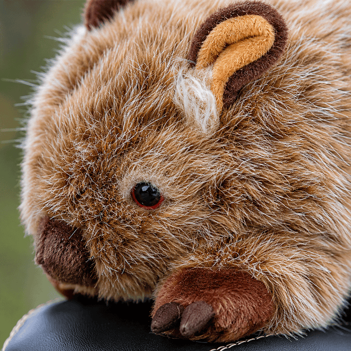 close up of Cute Fluffy Wombat Golf Driver Head cover